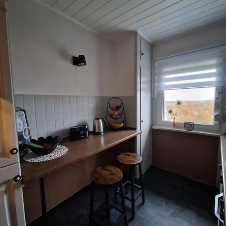 Fewoaufdemadenberg Διαμέρισμα Γκόσλαρ